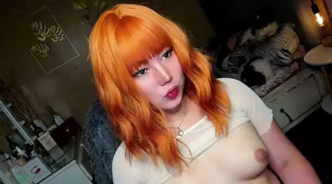 HOTnWILDalice online show from 16, 1, 2025