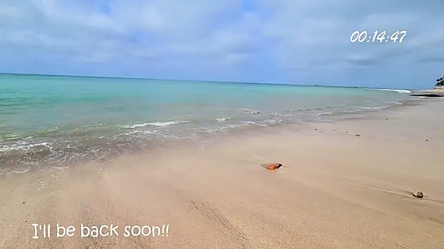 Snapshot of Girl_Ksenia chatting on 29, 12, 2024 Girl Ksenia online show from 29, 12, 2024