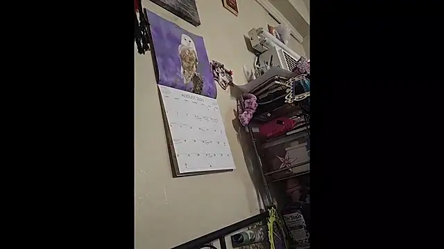 Snapshot of UncutHammer69 chatting on 19, 9, 2025 UncutHammer69 online show from 19, 9, 2025