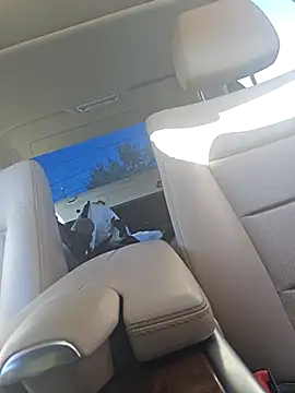 Snapshot of UncutHammer69 chatting on 28, 9, 2025 UncutHammer69 online show from 28, 9, 2025