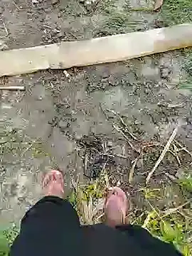 Snapshot of bigh96dik chatting on 14, 1, 2025 bigh96dik online show from 14, 1, 2025