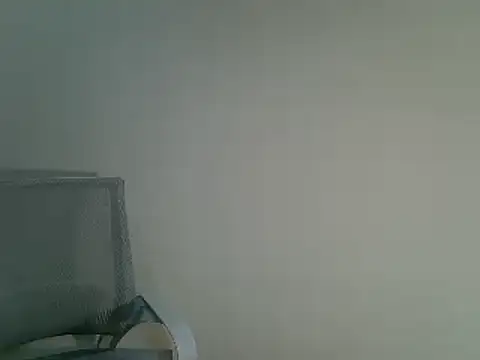 Snapshot of DitaVira chatting on 11, 12, 2024 DitaVira online show from 11, 12, 2024