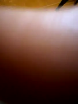 Snapshot of Wet-Pussycat chatting on 3, 12, 2025 Wet-Pussycat online show from 3, 12, 2025