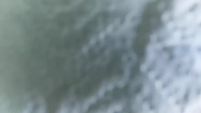 domjoab online show from 1, 12, 2025