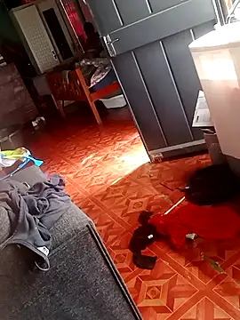 2soyte online show from 26, 9, 2025