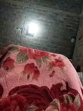 Bengali BULL1 online show from 8, 10, 2025