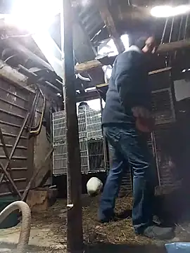 Snapshot of sarpe4 chatting on 21, 2, 2026 sarpe4 online show from 21, 2, 2026