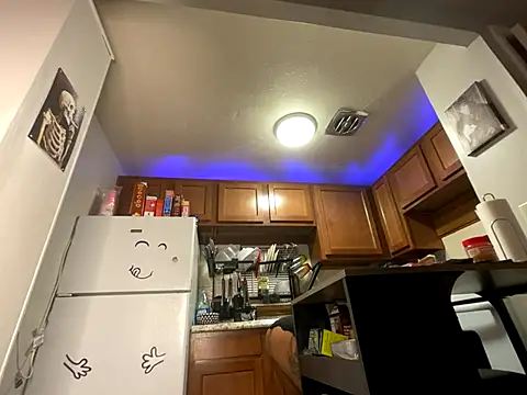 odbodu online show from 4, 10, 2025