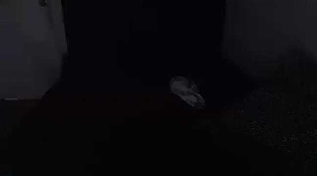 Snapshot of Chanelsexyy chatting on 16, 3, 2025 Chanelsexyy online show from 16, 3, 2025