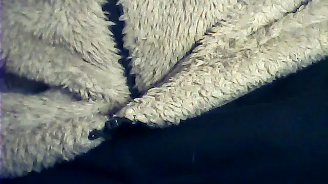 kalinixta online show from 6, 1, 2026