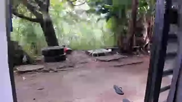 venusandzeusxh online show from 16, 12, 2025