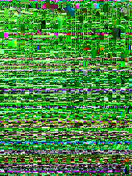 Snapshot of iAmNukka187 chatting on 1, 11, 2025 iAmNukka187 online show from 1, 11, 2025