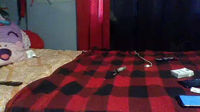 msdeedee online show from 23, 12, 2024