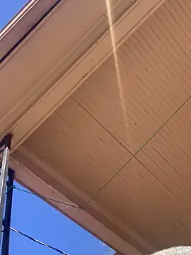 Snapshot of Tristris100 chatting on 24, 2, 2025 Tristris100 online show from 24, 2, 2025