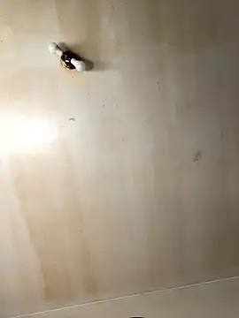 Snapshot of Tristris100 chatting on 19, 11, 2025 Tristris100 online show from 19, 11, 2025