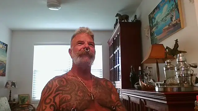 njdbear online show from 20, 9, 2025