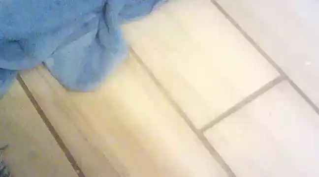 blasphemous online show from 28, 1, 2025