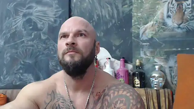 viking 30 online show from 9, 10, 2025