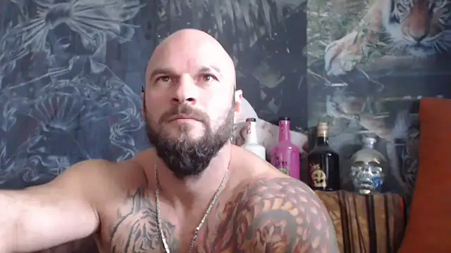 viking 30 online show from 13, 10, 2025