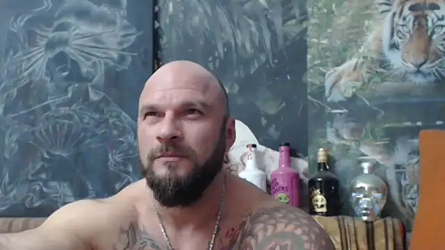 viking 30 online show from 14, 10, 2025