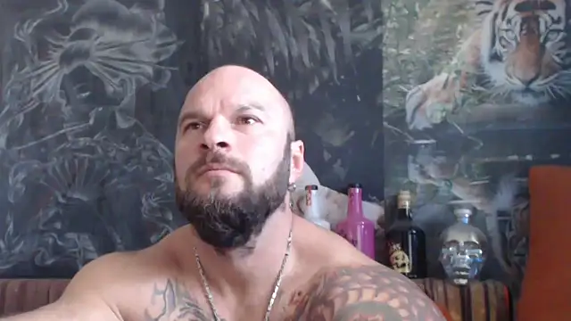 viking 30 online show from 21, 10, 2025