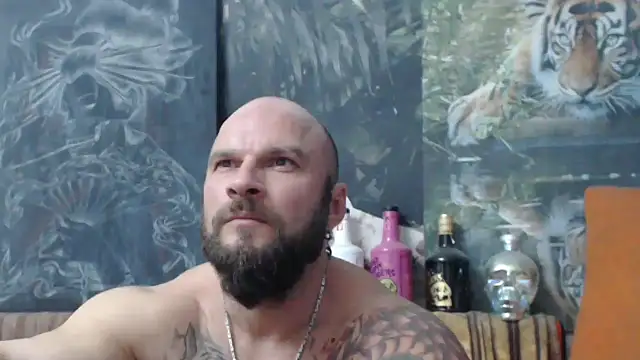 viking 30 online show from 30, 10, 2025