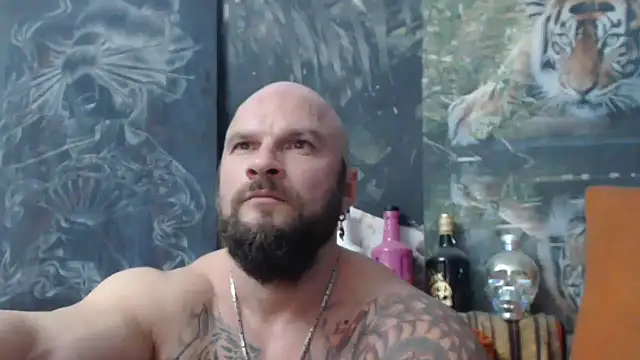 viking 30 online show from 31, 10, 2025