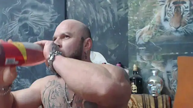 viking 30 online show from 5, 11, 2025