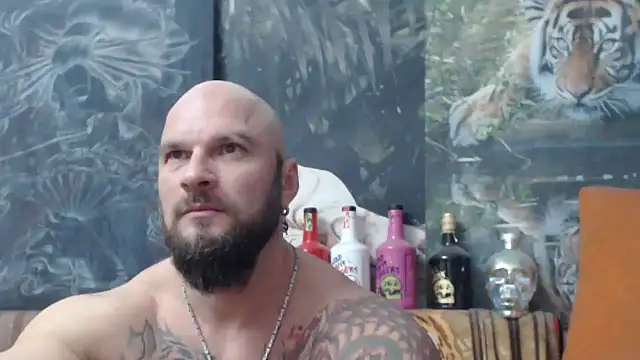 viking 30 online show from 17, 11, 2025