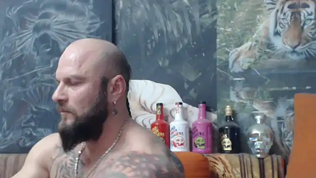 viking 30 online show from 25, 11, 2025