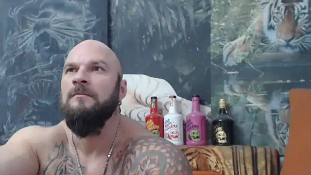 viking 30 online show from 1, 12, 2025