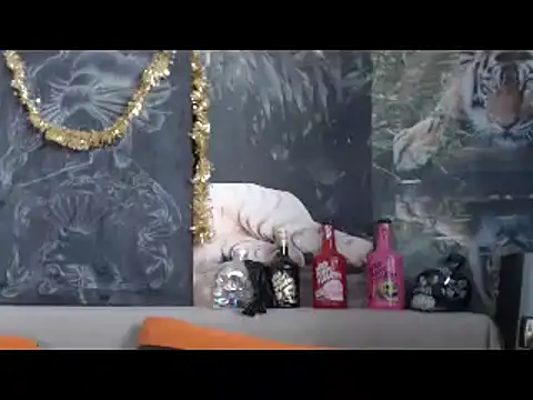 viking 30 online show from 20, 2, 2026