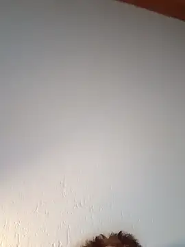 Kw8585kw online show from 15, 3, 2026