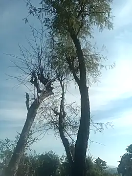 Snapshot of SunnyleoneBG chatting on 15, 12, 2024 SunnyleoneBG online show from 15, 12, 2024