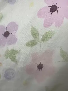 cc rose online show from 1, 11, 2025