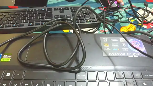 bigpennisboys online show from 22, 11, 2025