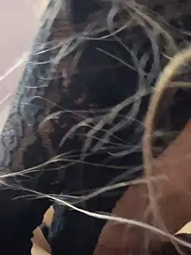 Littlebunny21 online show from 15, 12, 2024