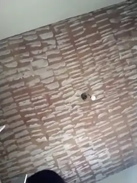 catdool online show from 20, 2, 2025