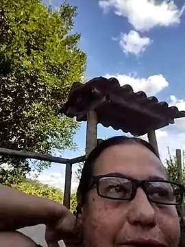 catdool online show from 14, 3, 2025