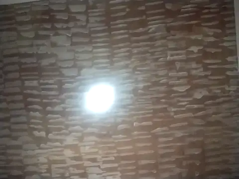 catdool online show from 22, 9, 2025