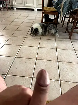 Loul41 online show from 2, 11, 2025