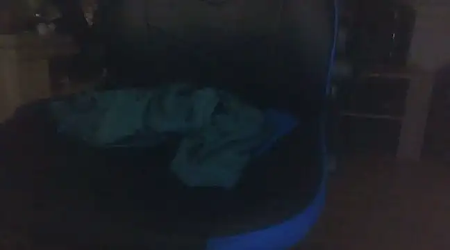 Snapshot of ViaPanties4you chatting on 12, 2, 2025 ViaPanties4you online show from 12, 2, 2025