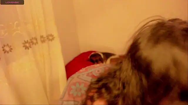 aluna 0310 online show from 16, 1, 2025