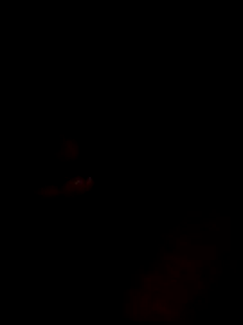 websterribeiro online show from 11, 3, 2026