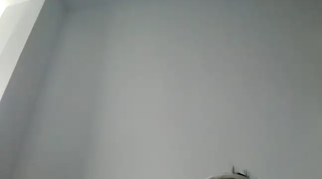 Snapshot of FallenDevil chatting on 29, 12, 2024 FallenDevil online show from 29, 12, 2024