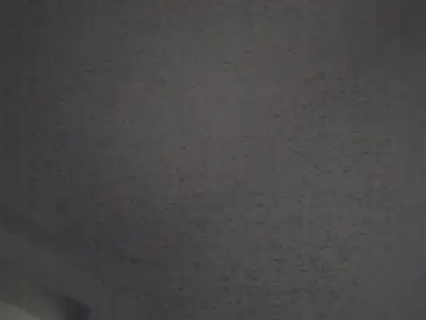 Snapshot of FallenDevil chatting on 4, 10, 2025 FallenDevil online show from 4, 10, 2025