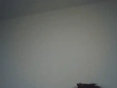 Snapshot of FallenDevil chatting on 16, 11, 2025 FallenDevil online show from 16, 11, 2025