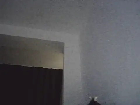 FallenDevil online show from 13, 3, 2026