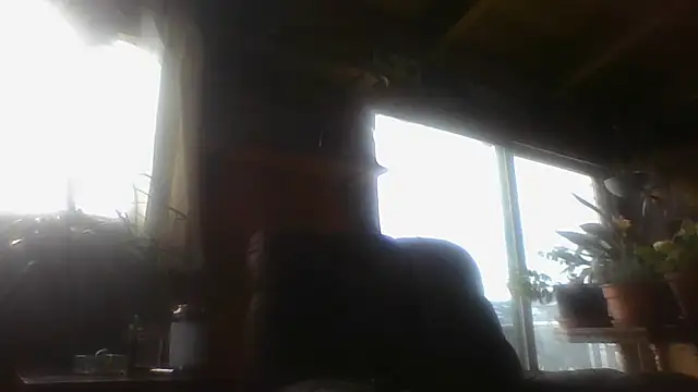 Snapshot of berthoud420 chatting on 29, 12, 2024 berthoud420 online show from 29, 12, 2024