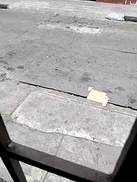 Pingon Chocolate online show from 1, 2, 2026